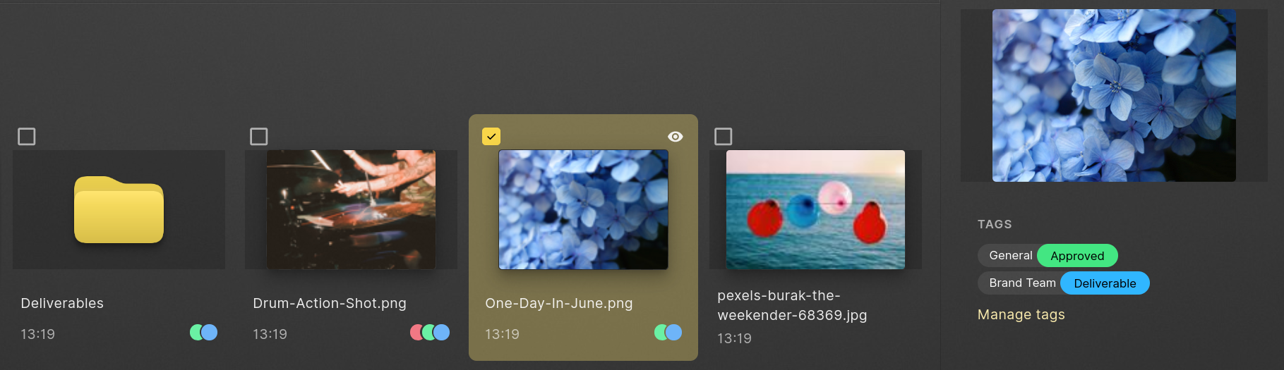 info pane