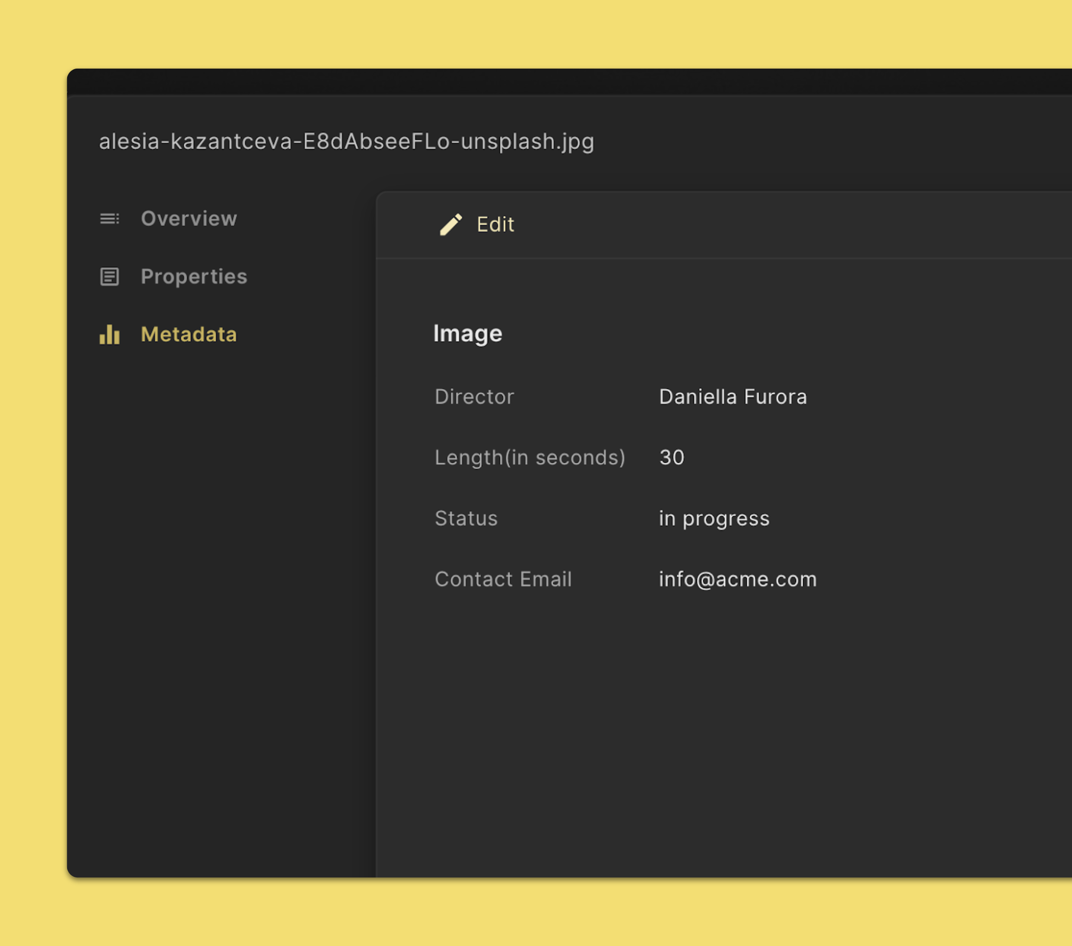 View metadata for a file